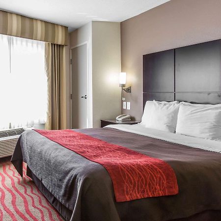 Comfort Inn Los Angeles Near Hollywood Bagian luar foto