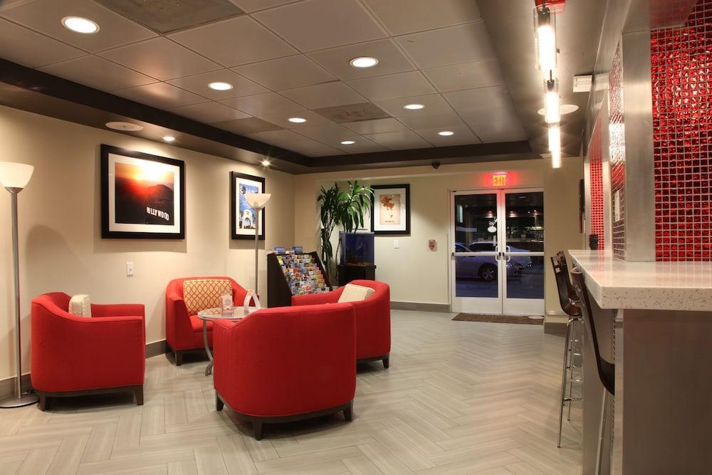 Comfort Inn Los Angeles Near Hollywood Bagian luar foto