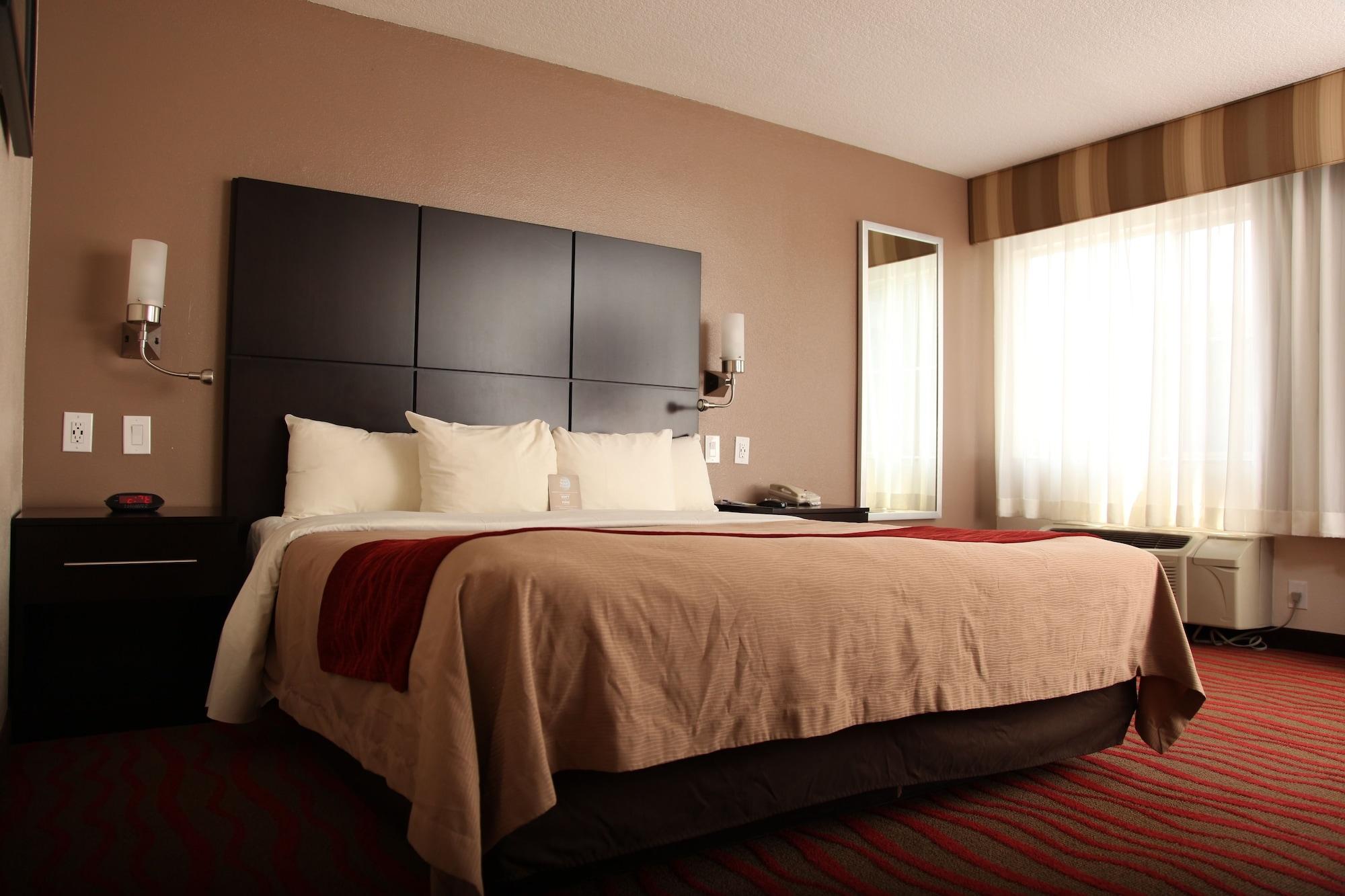 Comfort Inn Los Angeles Near Hollywood Bagian luar foto