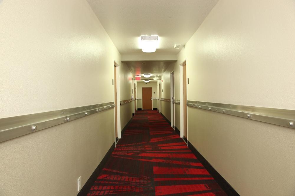 Comfort Inn Los Angeles Near Hollywood Bagian luar foto